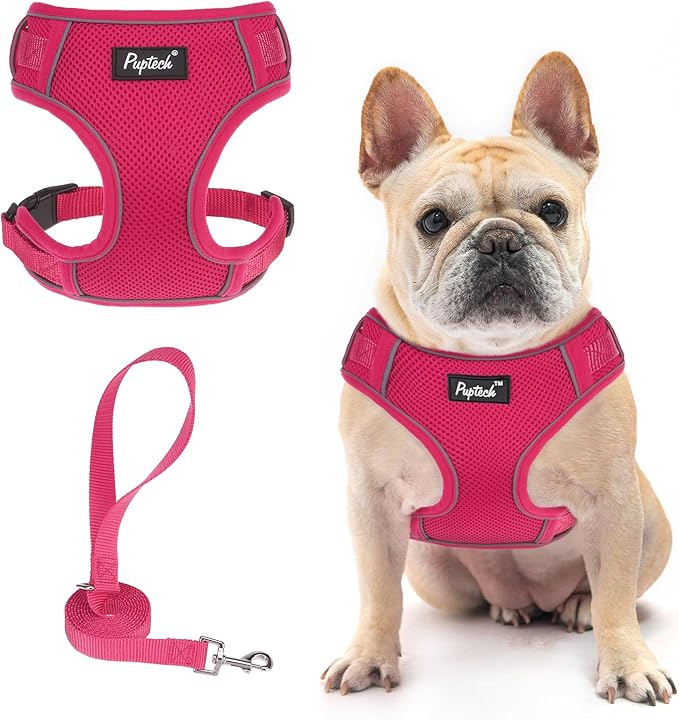 PUPTECK Dog Harness and Leash Set for Small Medium Dogs No Pull, Soft Mesh Adjustable Puppy Cat Harness Reflective at Night, Fuchsia S