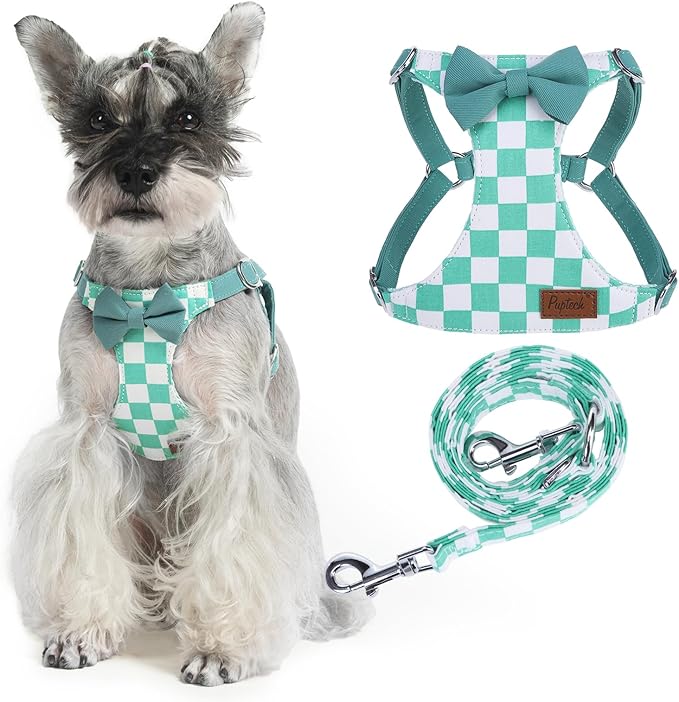 PUPTECK Dog Harness and Leash Set Small Sized, Step-in Cute Puppy Harness, Soft Lightweight Padded Vest, Escape Proof No Pull Pet Harnesses Easy for Walking, Plaid Green & White, M