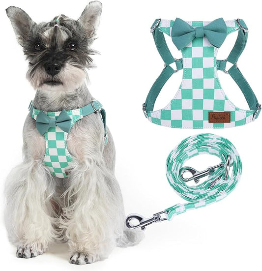 PUPTECK Dog Harness and Leash Set Small Sized, Step-in Cute Puppy Harness, Soft Lightweight Padded Vest, Escape Proof No Pull Pet Harnesses Easy for Walking, Plaid Green & White, S