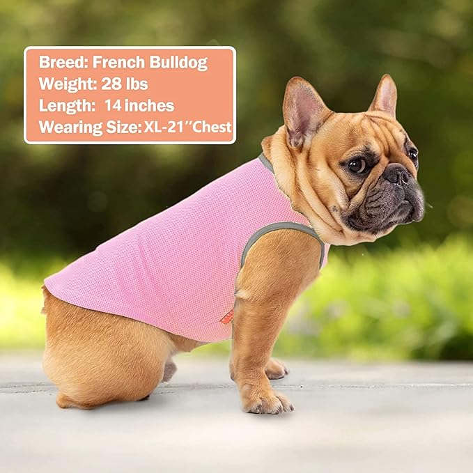 KYEESE 2 Pack Dog Cooling Shirts - Breathable Instant Cooling Vests, Lightweight for Summer Dog Apparel, Pink+Grey, Small