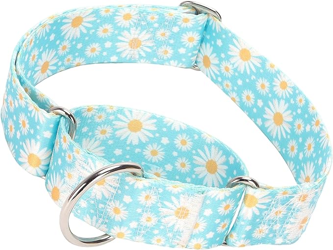 1.5 Inches Wide Martingale Dog Collar, Heavy Duty Adjustable Collar with Rwith Blue Daisy Floral Design, Military Grade Strong Dog Collar for Large/X-Large Breeds (M)