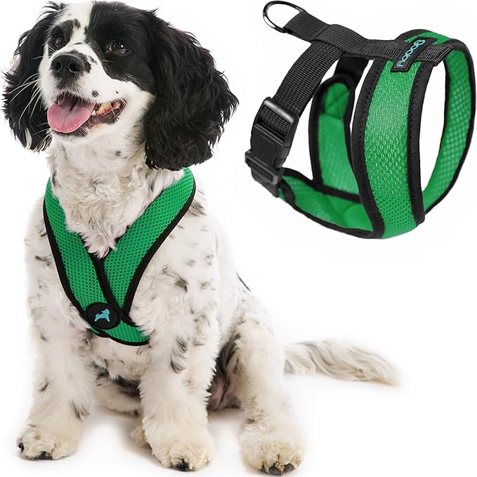 Gooby Comfort X Head in Harness - Hunter Green, Small - Patented Choke-Free X Frame - On The Go Dog Harness for Medium Dogs, No Pull or Small Dogs for Indoor and Outdoor Use
