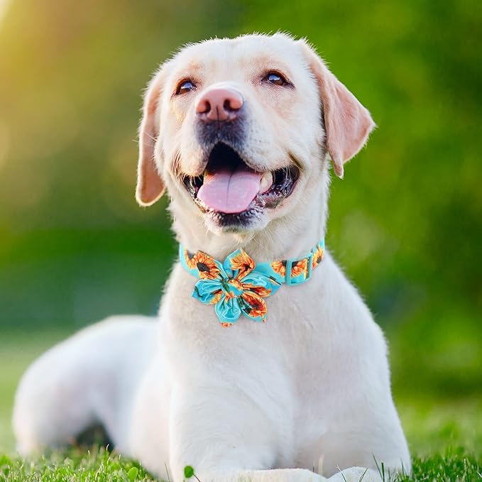 Cute Dog Collar Fancy Floral Boy Dog Collar with Sunflower Bowtie Dog Collar for Cute Boy Male Cats Dogs Spring Summer Dog Collar for Small Medium Large Dogs for Your Fur Baby