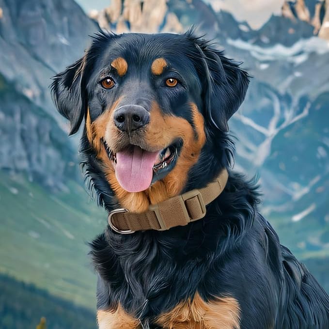 EXCELLENT ELITE SPANKER Puppy Dog Collar - Nylon Adjustable, Soft Padded Collar for Small Dogs