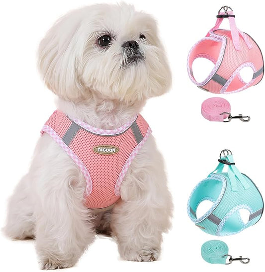Dog Harness and Long Leash Set for Small Dogs, Boy and Girl Medium Cat No-Pull Vest with Reflective Strips, Breathable Large Puppy Collar Pet When Training, Walking, Running, M
