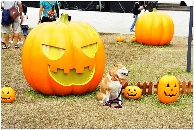 Unique style paws Halloween Dog Collar, Pumpkin Pet Collar Dog Bowtie Gift for Girl or Boy Dogs, Adjustable Dog Collar for X-Large Dogs