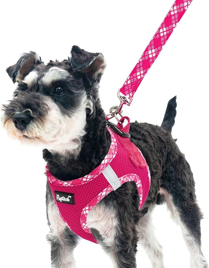 PUPTECK Dog Harness and Leash Set for Small Medium Dogs No Pull Step-in Soft Mesh Puppy Cat Vest Harnesses Reflective at Night, Fuchsia, XS