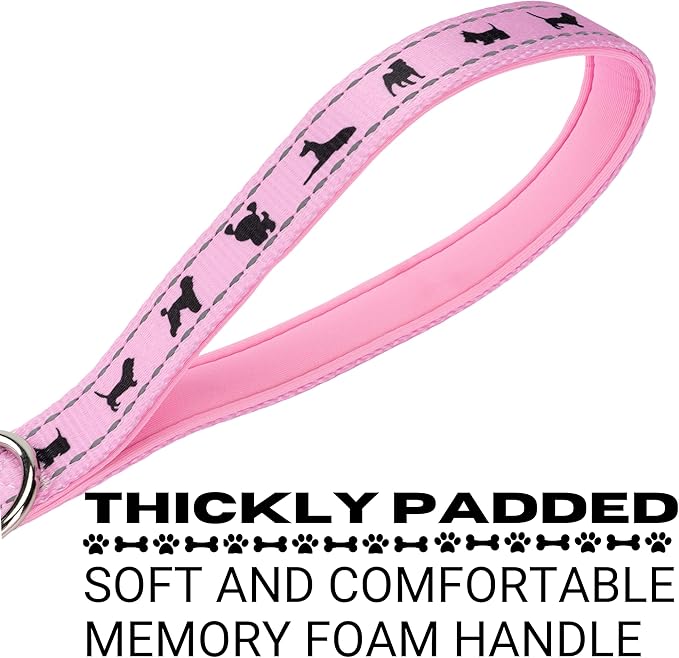 EcoBark Dog Leash - 4 FT / 5 FT / 6 FT Reflective Dog Leash- Eco-Bright Dog Leashes with Padded Handle - Strong Heavy Duty Dog Leash - Nylon Dog Leash for Small and Medium Dogs (Baby Pink Dog Leash)