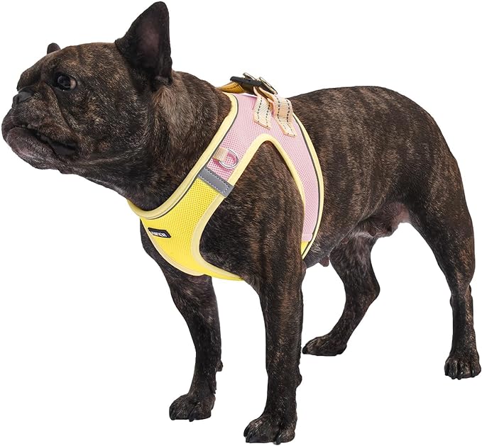 AMTOR Small Dog Harness with Leash Set, No Escape Easy Walk Puppy Harnesses for Training Walking, Step-in Reflective Soft Dogs Vest for XS S Medium Extra-Small Large Sized Dog(Yellow)
