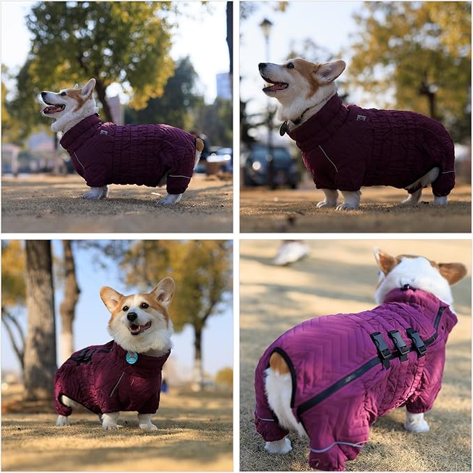 Lovelonglong Warm Dog Coat Double Layers Dog Vest, 4 Legs Covered Windproof Waterproof Reflective Warm Dog Vest Outdoor Skating Dog Costume for Corgis Dachshund Dog Purple D-M