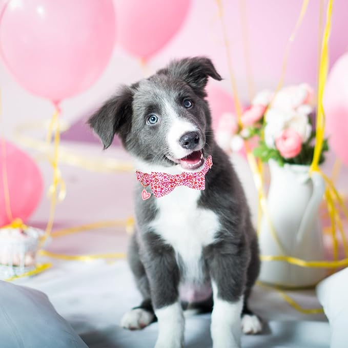 ADOGGYGO Valentine Dog Collar with Bow, Metal Buckle, Adjustable Pink Heart Bowtie Pet Valentine Collars for X-Small Dogs (X-Small)
