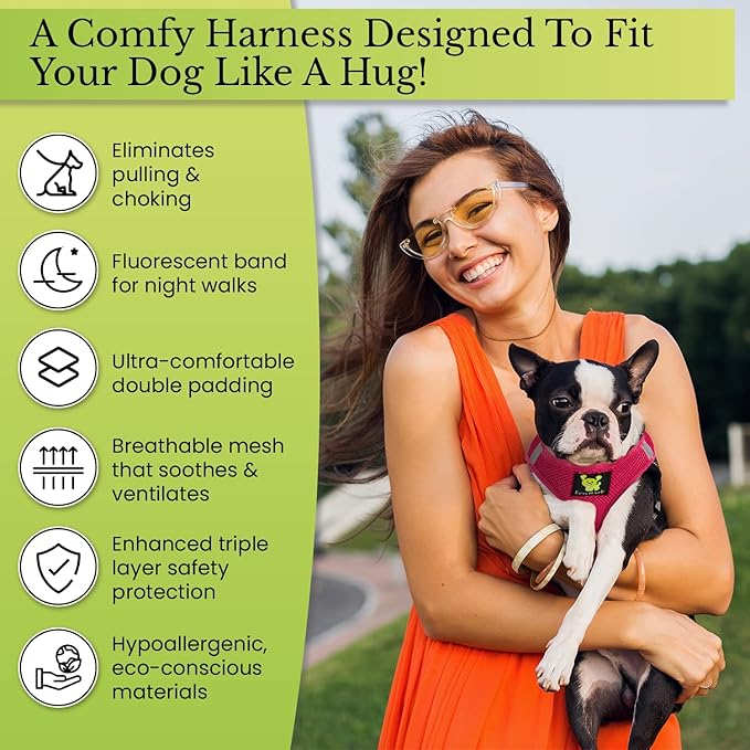 EcoBark Step in Dog Harness - Eco-Friendly Teacup Dog Harnesses for XXS, XS, and Small Dogs - Reflective and Adjustable Mini Body Halter Vest -Tiny Soft Mesh Toy Breed Harness Under 5 lbs (Pink, XXS)