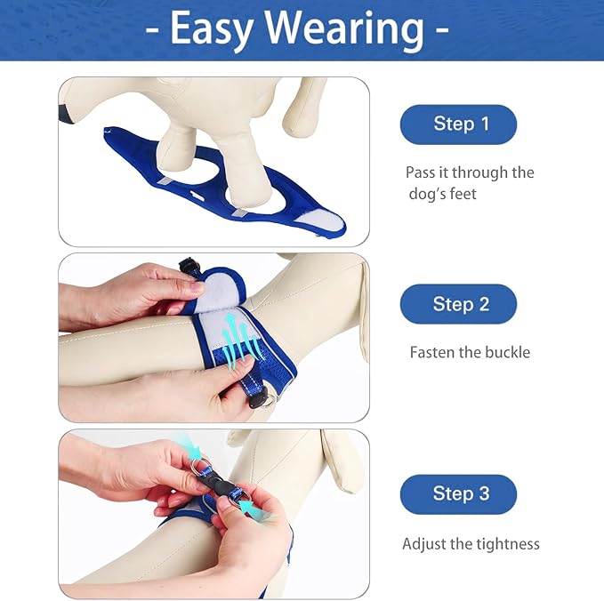 Dog Harness for Small Dogs and Leash Set, Honeycomb Grid, Reflective Lightweight Harness & Anti-Twist Pet Lead (Multi Color, Size: XS-S-M) (XS, Sapphire Blue)