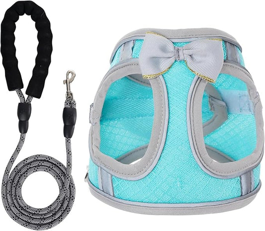 Dog Harness with Leash Set, Step-in Breathable Puppy Cat Dog Vest Harnesses, No Pull Adjustable Reflective Puppy Harness with Soft Padded Vest for Extra-Small/Small Medium Large Dogs and Cats