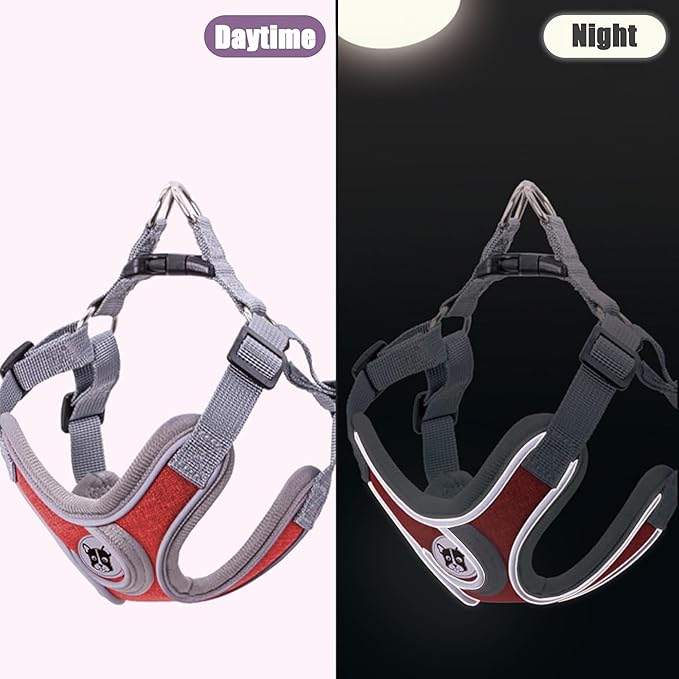 Puppy Harness and Leash Set,No Pull Adjustable Step in Soft Mesh Vest Harness,Easy Walk Reflective Pet Harness with Padded Handle for Walking Training Small Medium Large Dogs and Cats (Red, XS)