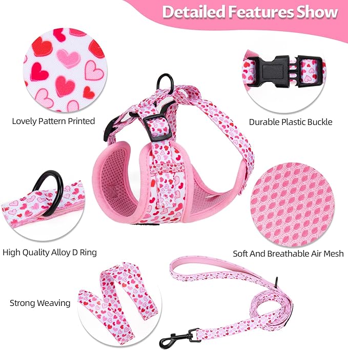 Dog Harness and Leash Set, Adjustable Dog Harness, Dog Leash, No Pull No Choke Puppy Harnesses for Walking Training for Small, Medium, Large Pet (Little Love, XS(Chest 11-13", Neck 9-11"))