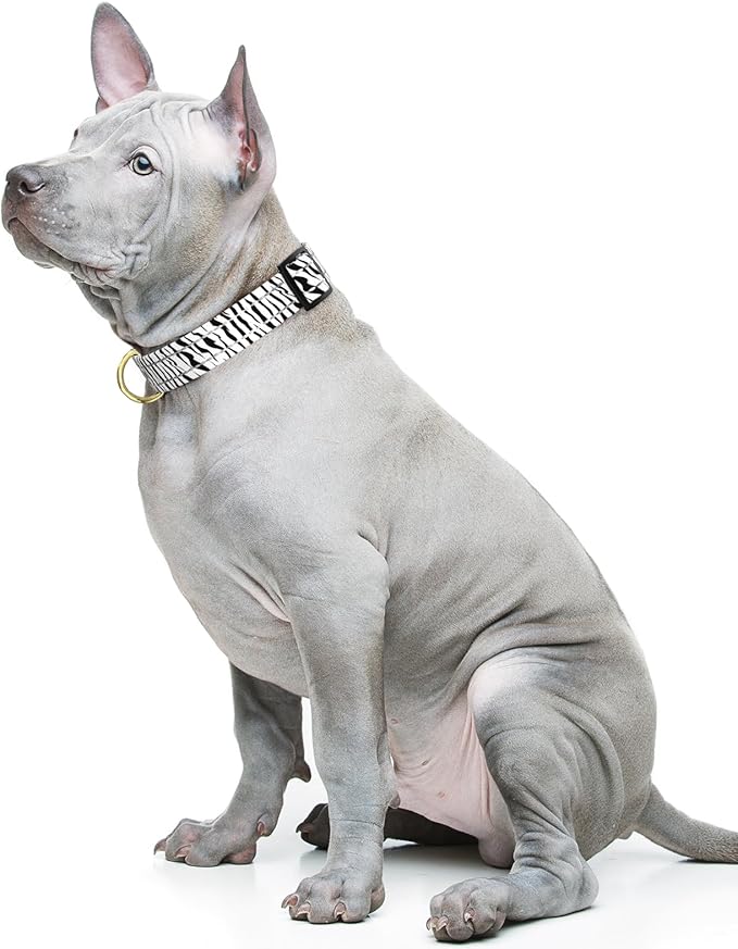 Reflective Dog Collar for Medium Dogs, Cute Boho Adjustable Heavy-Duty Nylon Puppy Collar for Boy and Girl Female, Soft Pet Accessories with Quick Release Buckle, Stylish Zebra Print