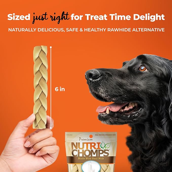 NutriChomps Dog Chews- 6-inch Braids,Easy to Digest, Rawhide-Free Dog Treats, Healthy, 4 Count, Real Chicken, Peanut Butter and Milk Flavors, Bundle of 3