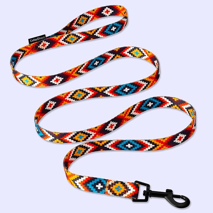 CollarDirect Aztec Dog Leash Nylon Tribal Pattern Cat Pet Leashes for Small Medium Large Dogs Puppy Lead 5 FT Long for Walking (Pattern 3, S, New)
