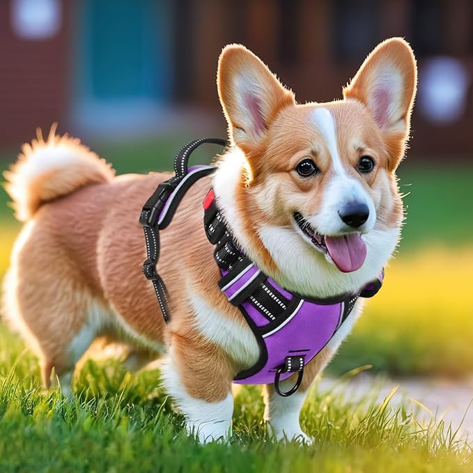 Timos Dog Harness Small Sized, No Pull with Neck Lockable Snap,No Choke Front Clip Dog Reflective Harness,Adjustable Metal Rings 3 Buckles,Easy Control Handle for Small Dogs Purple XS