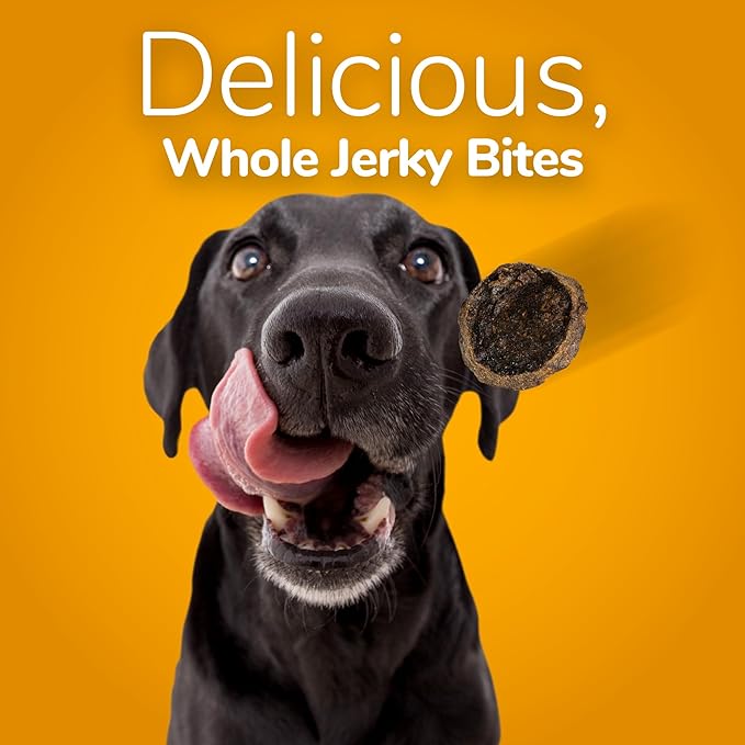 Fruitables Whole Jerky Bites for Dogs – Grilled Bison Grain-Free Dog Treats – Natural High Protein Chews with Real Meat – Limited Ingredient Recipe for Training or Reward – 5 oz Bag