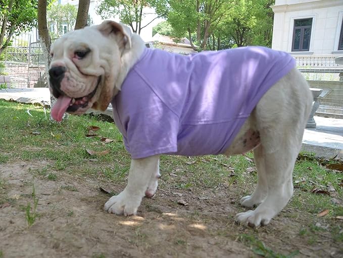 Lovelonglong Bulldog Clothes Dog Clothing Blank T-Shirt Tee Shirts for French Bulldog English Bulldog American Pit Bull Pugs 100% Cotton Skin Care Violet B-XL