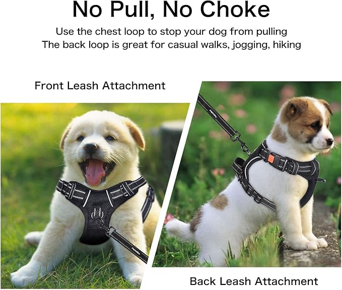 Petmolico No Pull Dog Harness and Leash Set, No Choke 4 Leash Attchments Easy Control Handle Soft Padded Reflective Vest Dog Harness for Small Dog Breed, Black Small