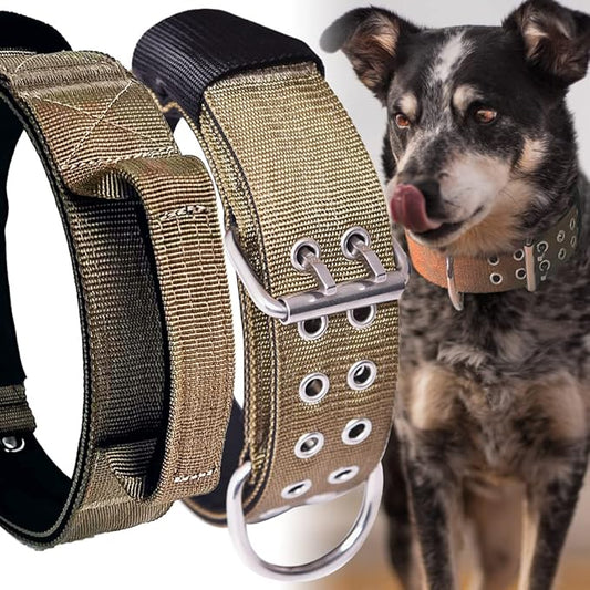 Large Dog Collar Heavy Duty - 2 inch Wide with Handle for Extra Large Breed Dogs, 1/3" Thick Nylon Chew Proof Tactical Collar, Good Choice for German Shepherd,Pitbull,Rottweiler 22"-27"