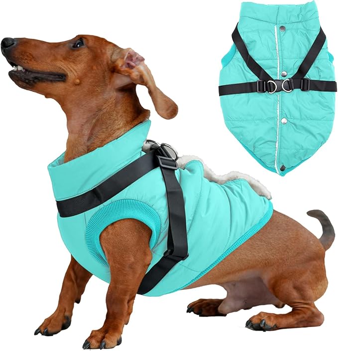 Dog Jacket with Harness,Fleece Lined Warm Puppy Coat for Winter,Soft Windproof Medium Dog Vest,Bluegreen XL