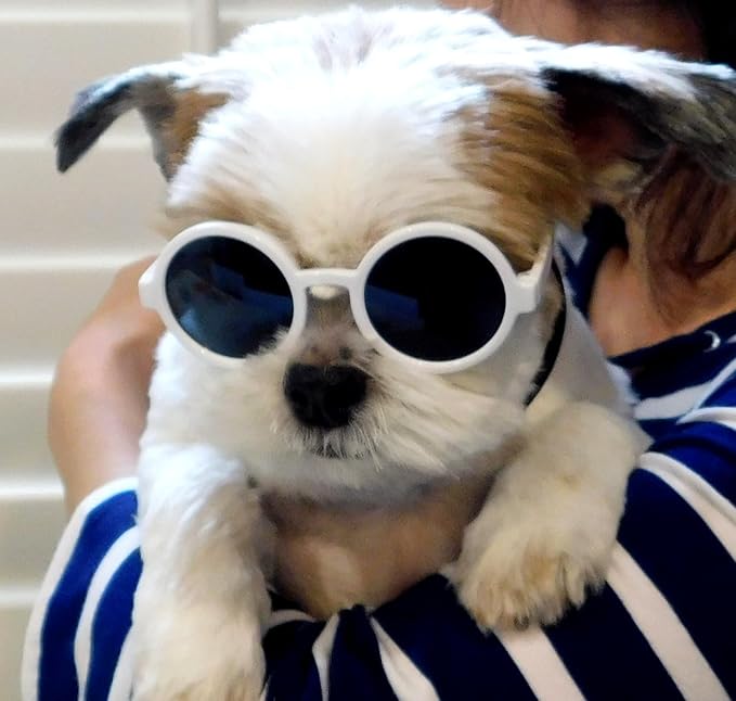 G016 Dog Cat Pet Round Sunglasses Goggles for Small Breed Dogs up to 15lbs (2-Pack Black +White)