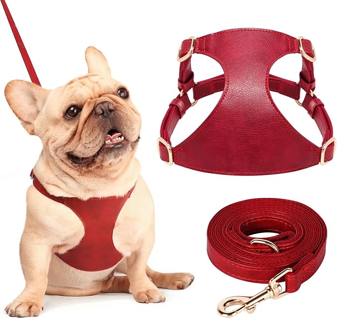 Didog Small Dog Harness and Leash Set, Soft & Lightweight Dog Vest Harness, Adjustable Leather Dog Harness for Small Medium Dogs, Red, M