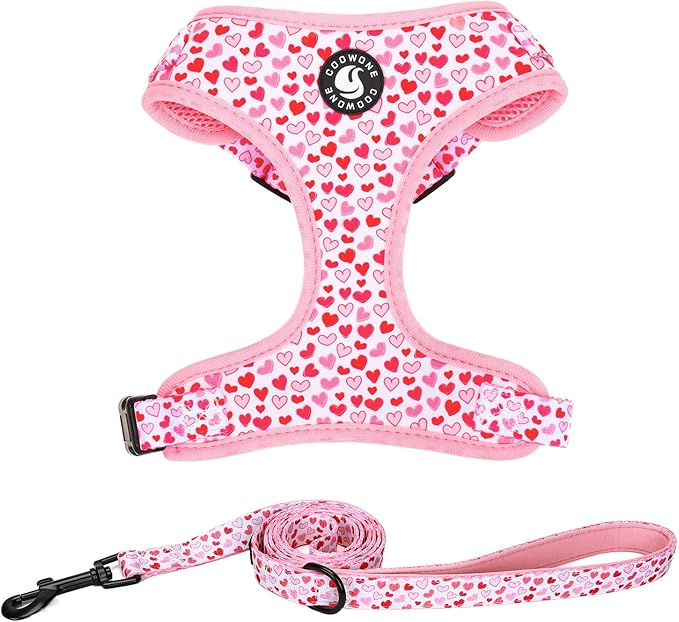 Dog Harness and Leash Set, Adjustable Dog Harness, Dog Leash, No Pull No Choke Puppy Harnesses for Walking Training for Small, Medium, Large Pet (Little Love, M(Chest 17.7-23.1", Neck 13.4-16.4"))