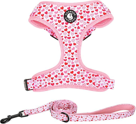 Dog Harness and Leash Set, Adjustable Dog Harness, Dog Leash, No Pull No Choke Puppy Harnesses for Walking Training for Small, Medium, Large Pet (Little Love, S(Chest 14-19.6", Neck 10.6-13"))