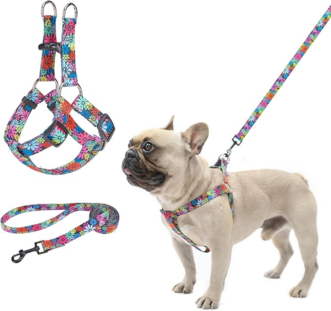 BEAUTYZOO No Pull Dog Harness and Leash Set - Adjustable Step-in Puppy Harness for Small Medium Large Dogs, Escape Proof Soft Nylon Vest with Double D Ring for Walking Running Training, M