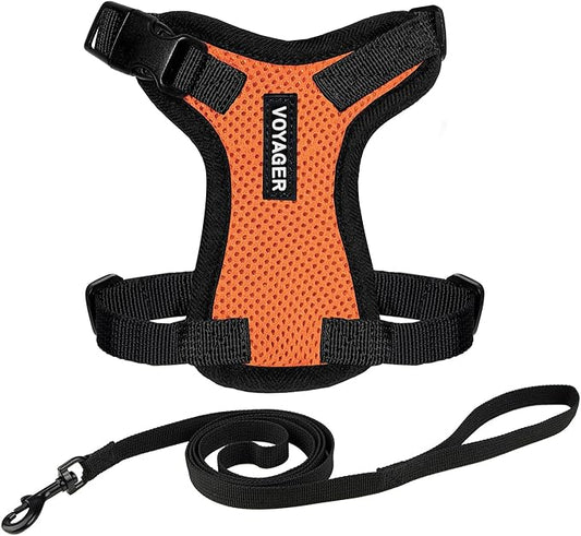 Voyager Step-in Lock Adjustable Cat Harness w. Cat Leash Combo Set with Neoprene Handle 5ft - Supports Small, Medium and Large Breed Cats by Best Pet Supplies - Orange/Black Trim, S