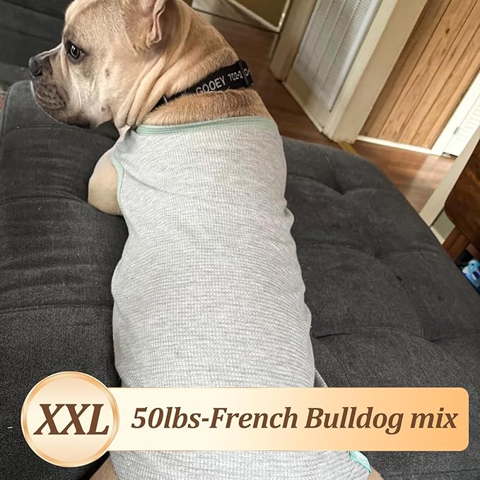 KYEESE 2Pack Waffle Dog Shirts for Small Dogs Stretchy T-Shirts Lightweight Tank Top Sleeveless Striped Shirt Vest Breathable Cat Shirt, XX-Large, Orange+Striped