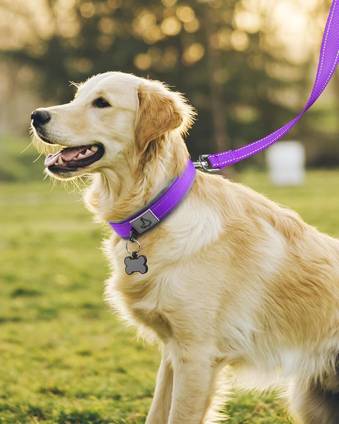 Joytale Dog Collar for Large Dogs, Neoprene Padded and Adjustable, Reflective Wide Heavy Duty Pet Collars with Durable Metal Belt Buckle for Walking, Purple, L