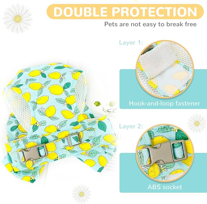 BAEJMJK Dog Harness and Leash Set with Bow Knot No Pull Pet Daisy Floral Harness with D-Ring Soft Mesh Dog Harness Vest Set Escape Proof Princess Puppy Harness for Small Girl Dogs Cats（Green XS）