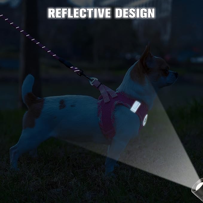 BEAUTYZOO Dog Harness and Leash Set for Small Medium Dogs,No Pull Step-in Harness for Puppy S M Sized Dogs and Cats,Air Mesh Adjustable Breathable Soft No Chock Escape Proof Vest Harnesses,Pink XXS