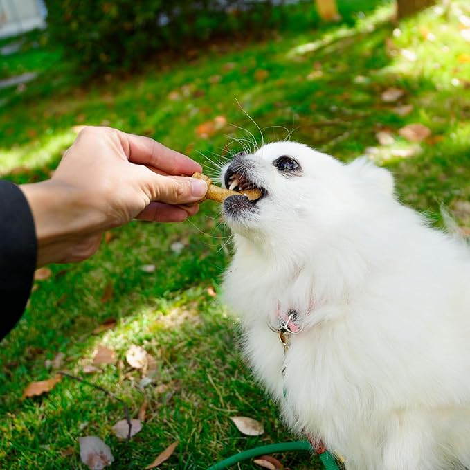 MON2SUN Dog Rawhide Knot Bones Small Rawhide Bones Mini Chews Chicken Flavour 2.5 Inch 100 Count for Puppy and Small Dogs