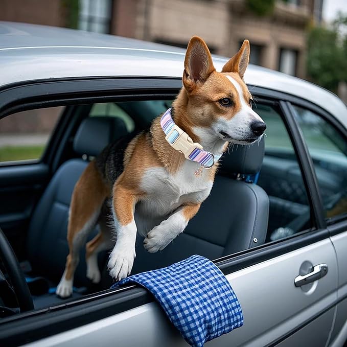 DOGWONG Blue Dog Collar, Beach Stripe Dog Collar Adjustable Soft Natural Fabric Girl Boy Pet Dog Collars Cute Puppy Necklace for Small Medium Large Dogs