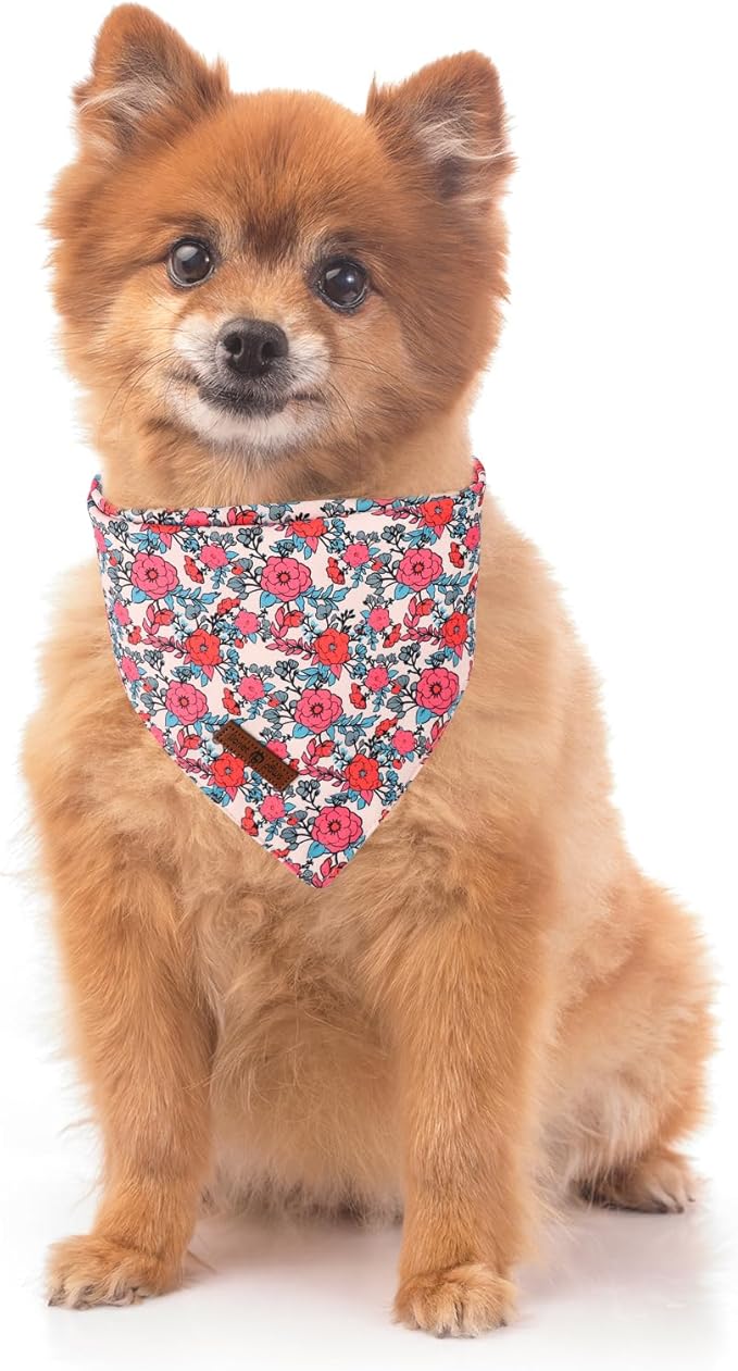 Lionet Paws Valentine's 2pcs Dog Bandanas, Red Floral Dog Scarf Bib Premium Fabric, Happy Valentine Heart Bandanas for Small Medium Dogs Pets