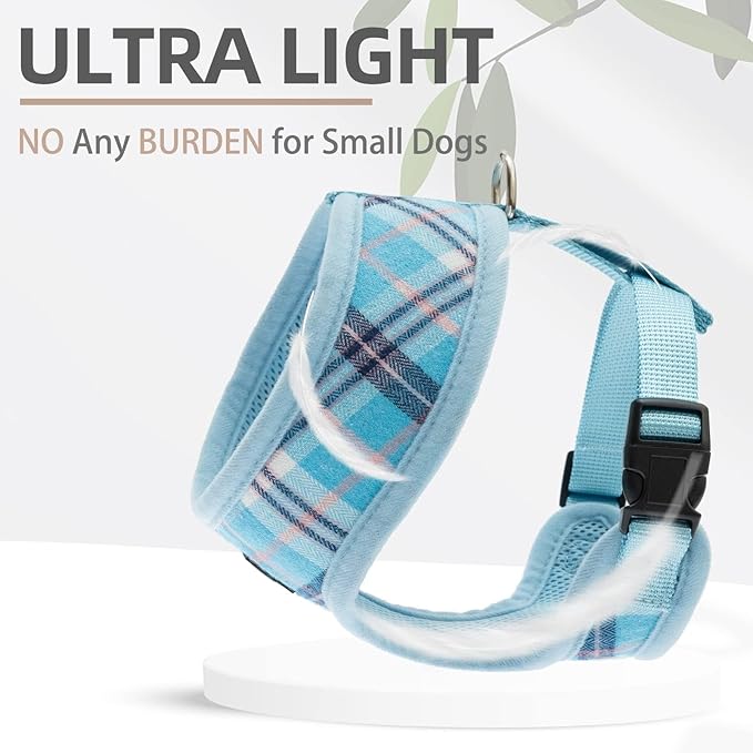 PUPTECK Soft Mesh Dog Harness and Leash Set Pet Puppy Cat Comfort Padded Vest No Pull Harnesses, Light Blue, M