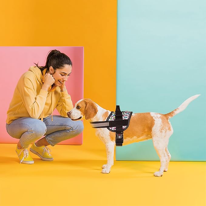 Dogline Dog Harness, Reflective No-Pull Adjustable Vest with Handle for Walking, Training, Breathable, No - Choke Harness for Small, Medium or Large Dogs Room for Patches Leopard Rainbow XS 15"-18"