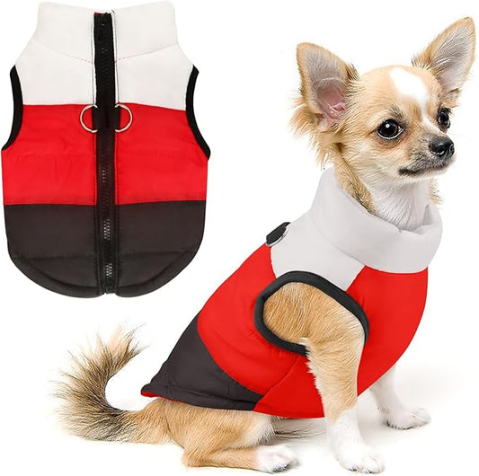 Idepet Pet Dog Cat Coat with Leash Anchor Color Patchwork Padded Puppy Vest Jacket Teddy Chihuahua Costumes Pug Cloth XS S M L (Large (Pack of 1), Black)