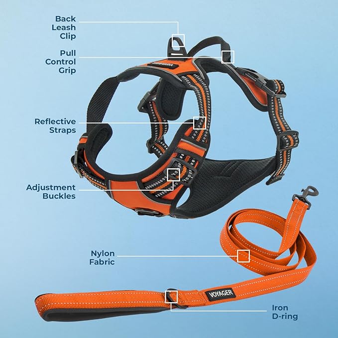 Dog Harness Dual Leash Attachment No-Pull Control Adjustable Soft but Strong Pet Harness for Medium and Large Dogs with 3M Reflective Technology - Harness Leash Set (Orange), S