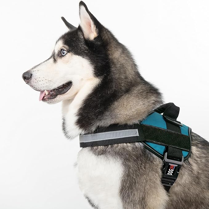 Dogline Dog Harness, Reflective No-Pull Adjustable Vest with Handle for Walking, Training, Breathable, No - Choke Harness for Small, Medium or Large Dogs Room for Patches Girth 18 to 24 in Turquoise
