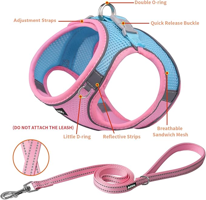AIITLE Dog Harness, Spring No-Pull Cat Harness with a Leash, Adjustable Reflective Dog Vest, Cat Harness Escape Proof, Outdoor Walking, Camping for Extra Small Dogs and House Cats Pink XXXS
