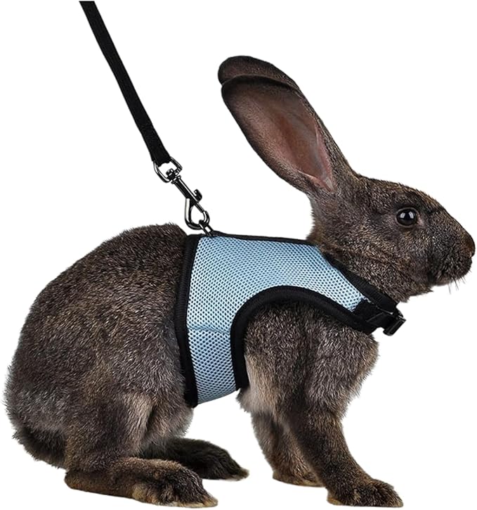 MANON ROSA Rabbit Harness and Leash Set - Adjustable Escape-Proof Training and Walking Gear for Guinea Pigs Bunnies Chinchillas Hamsters Ferrets Rats Kittens and Small Dogs Puppies Cats (Blue,XL)