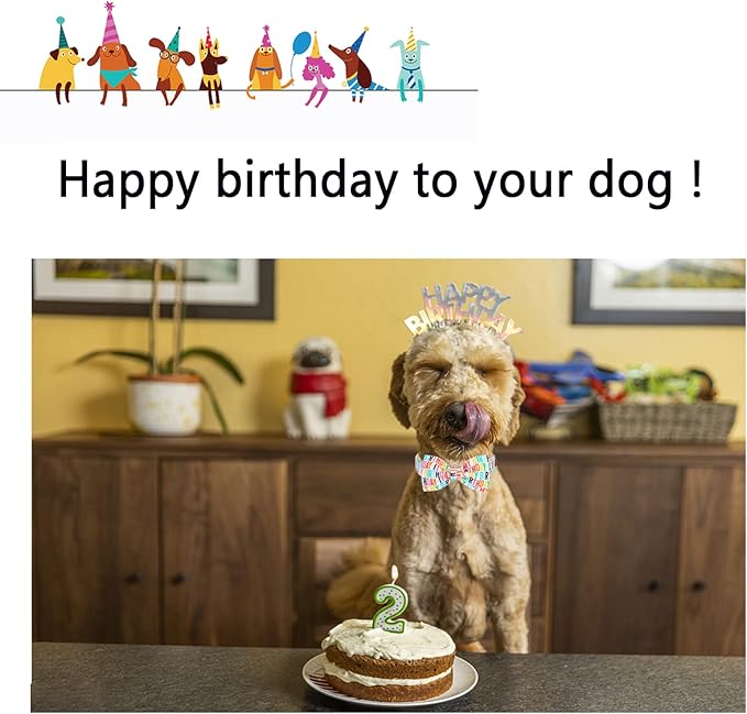 Unqiue Style Paws Birthday Dog Collar, Soft and Cute Dog Bow Tie, Durable Pet Collar with Bow Adjustable Dog Collar for X-Small Puppy